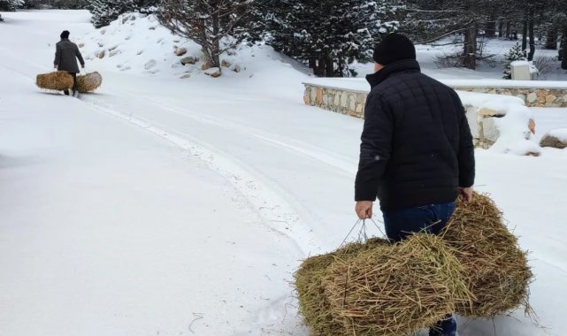 Akdağ'da yaban hayvanları için yem bırakıldı