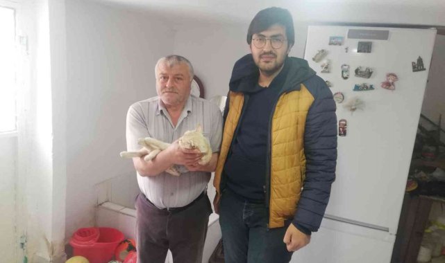 Akşehir Belediyesi sahipli hayvanlar için de kısırlaştırma hizmetine devam ediyor