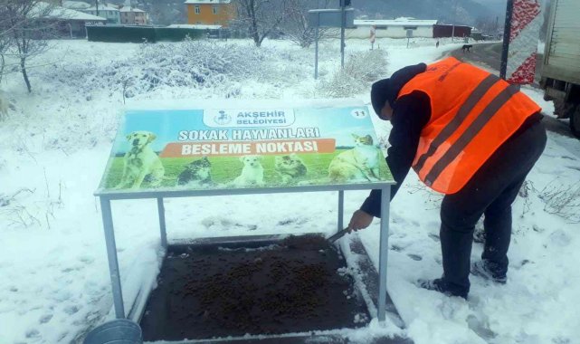 Akşehir'de hayvanlar için mama ve yemleme çalışmaları sürüyor