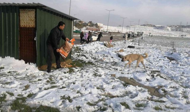 Alaşehir Belediyesi sokak ve yaban hayvanlarına yiyecek bıraktı