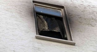 Alevlerin yükseldiği apartmanda korkulu anlar