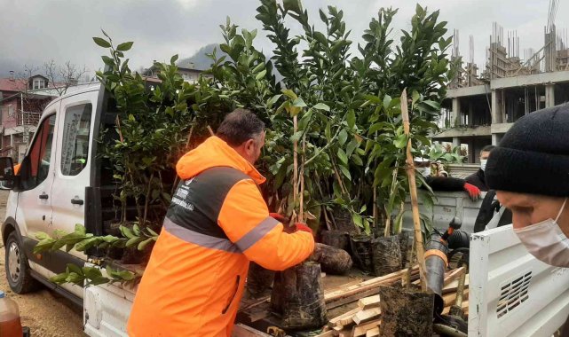 Altınordu ilçesinde &quot;yeşil kalkınmada altın çağ&quot;
