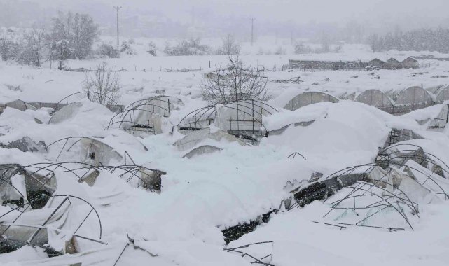 Amasya'da yoğun kar yağışı seraları yıktı