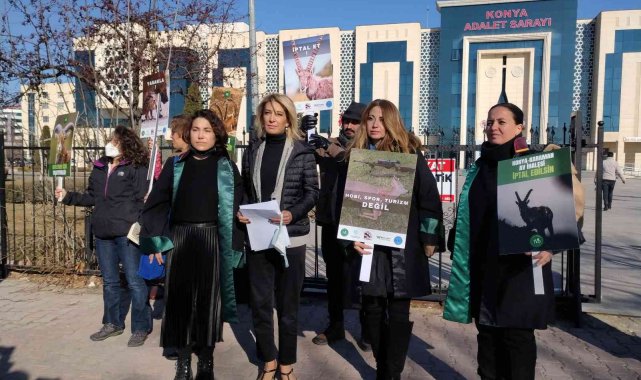 Anadolu yaban koyunu ve yaban keçilerinin akıbeti 15 gün içinde belli olacak