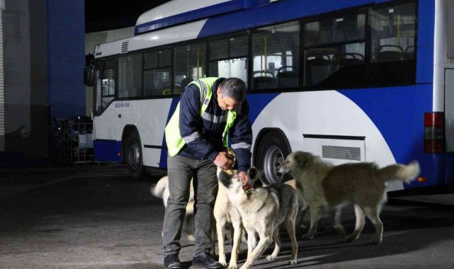 Ankara&#039;da köpekle eğlenceli dakikalar geçiren EGO şoförü konuştu: