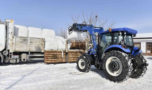 Ankara&#039;da yüzde 100 hibe hayvan yem desteği başladı