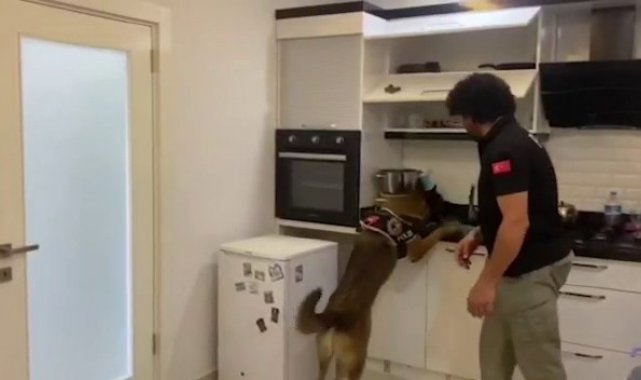 Antalya'da 1 yılda 638 kilogram uyuşturucu madde ele geçirildi