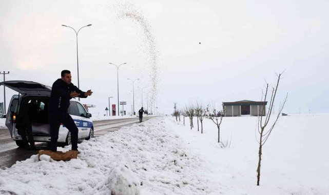 Araban Belediyesi yaban hayvanlarını unutmadı