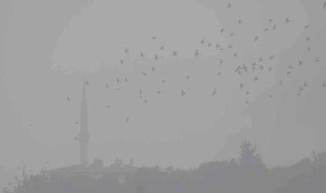 Araban'da sis hayatı olumsuz etkiledi