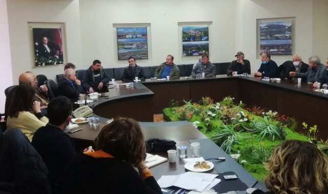 Arı ölümlerine çözüm arayışı