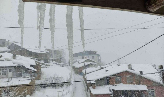 Arıcak kara teslim oldu