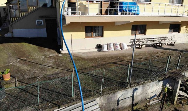 Artvinli 88 yaşındaki Emine nine tavuklarını kümese gitmeden yemliyor