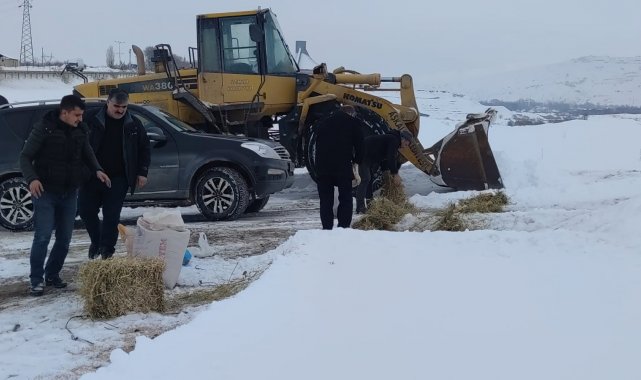 Aşkale'de sokak ve yaban hayvanları beslendi