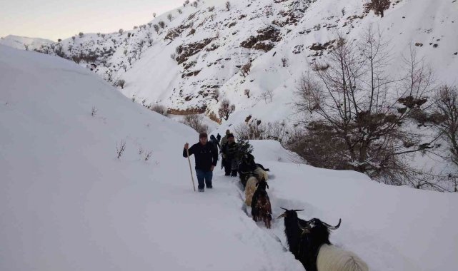 Asker ve köy koruyucuları 3 gündür seferber olduğu keçileri bulup sahibine teslim etti