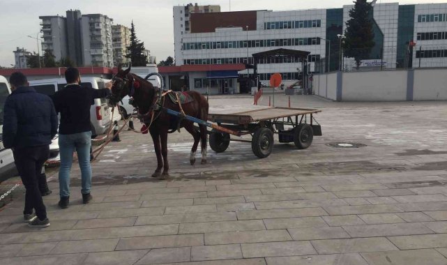 At arabasıyla uyuşturucu satan baba oğul tutuklandı