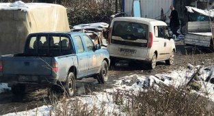 At kasapları tutuklandı