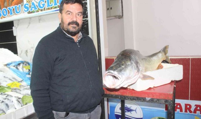 Atatürk Barajında dev turna balığı yakalandı