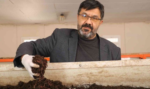 Atık çamur solucanlar tarafından sindirilerek organik gübreye dönüşüyor