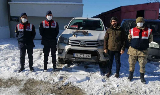 Avcı belgesi olamayan bir kişi avladı tavşanla jandarmaya takıldı