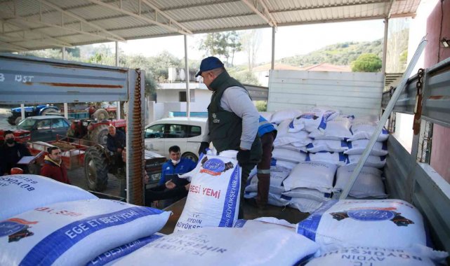 Aydın Büyükşehir Belediyesi'nden üreticiye yem desteği