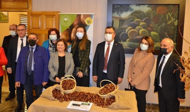 Aydın'da 'Kestane Farkındalık Günü' etkinliği düzenlendi