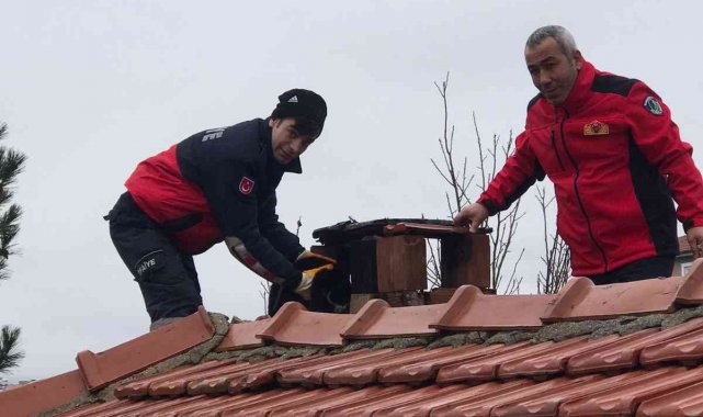 Bacaya sıkışan kediyi itfaiye kurtardı