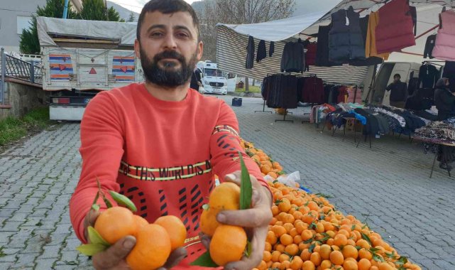Bağışıklık sistemini güçlendiren mandalinaya talep arttı