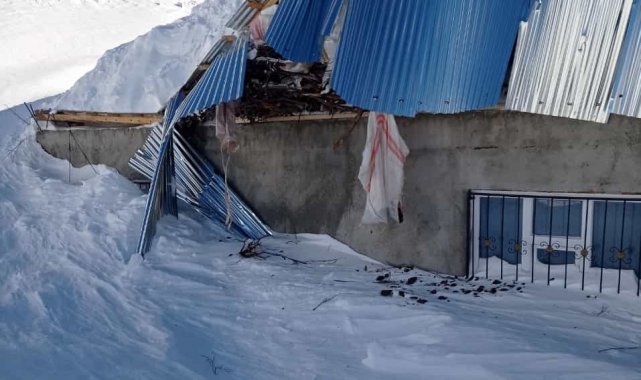 Bahçesaray'da bir evin üzerine çığ düştü, 5'i çocuk 7 kişi yara almadan kurtuldu