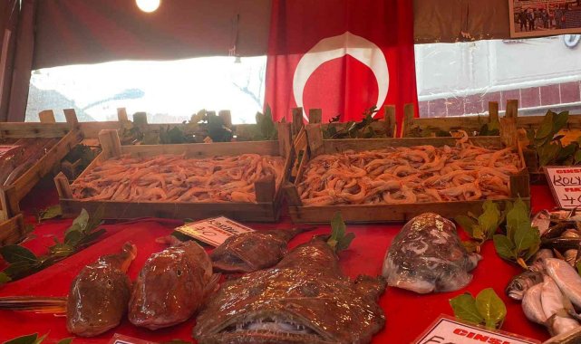 Balık tezgahlarında hamsi sıkıntısı