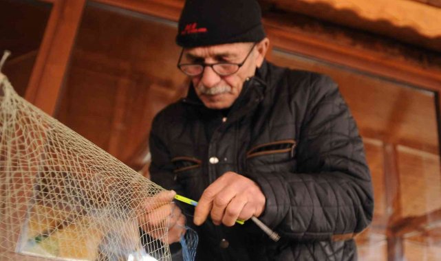 Balıkçılar yunusların ağlara verdiği yaraları sarıyor
