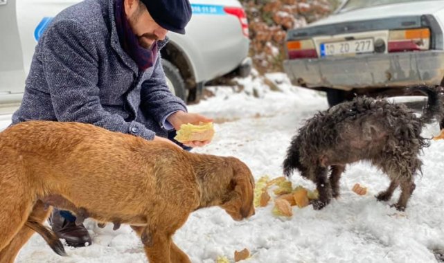 Balıkesir&#039;de sokak ve yaban hayvanları beslendi