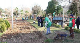 Balıklıgöl'de lale soğanları toprakla buluştu