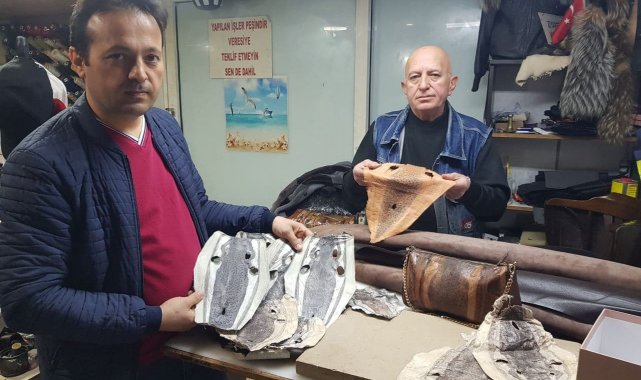 Balon balığı kadın çantası oldu, cüzdan, cep telefonu ve bilgisayar kılıfı yolda