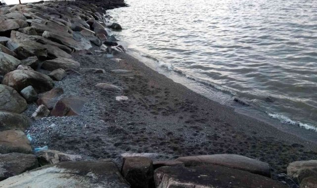 Bandırma'da deniz çekilmesi üç gündür devam ediyor