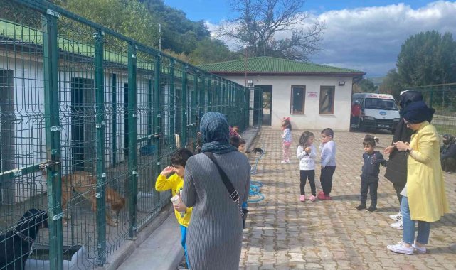 Barınak içine laboratuvar ve ameliyathane yapılacak
