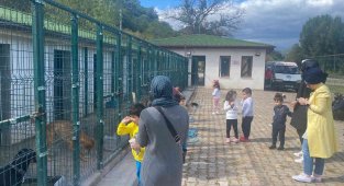 Barınak içine laboratuvar ve ameliyathane yapılacak