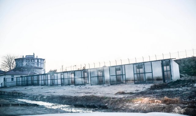 Barınak kapatıldı, hayvanlar sokağa salındı