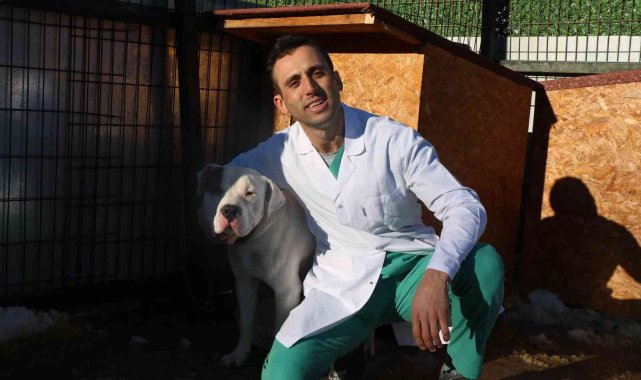 Barınaklar yasaklı ırklar ile doldu