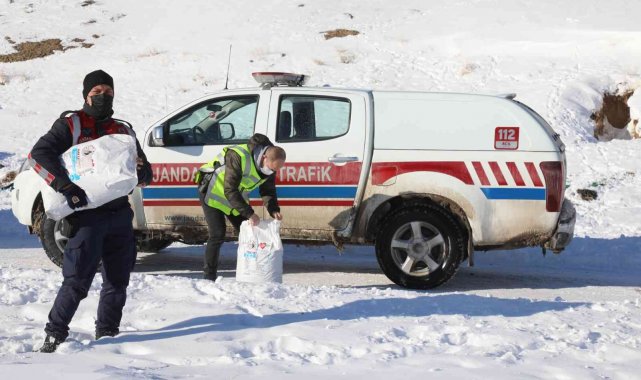 Başkale'de sokak hayvanları yalnız bırakılmıyor