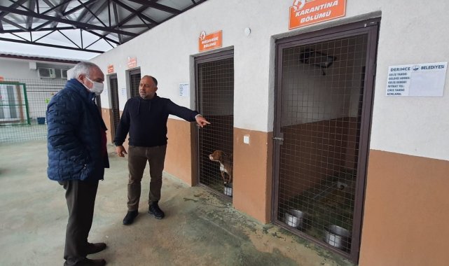 Başkan Aygün: "Terk edilen pitbull cinsi köpeğimizi koruma altına aldık"