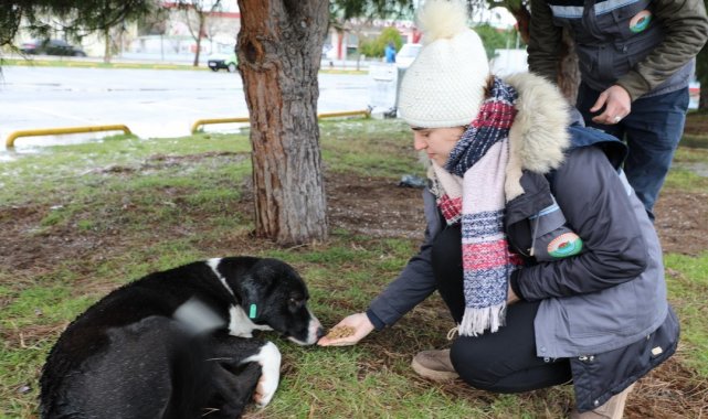 Başkan Demirtaş: &quot;Can taşıyan her varlık bizim için değerlidir&quot;