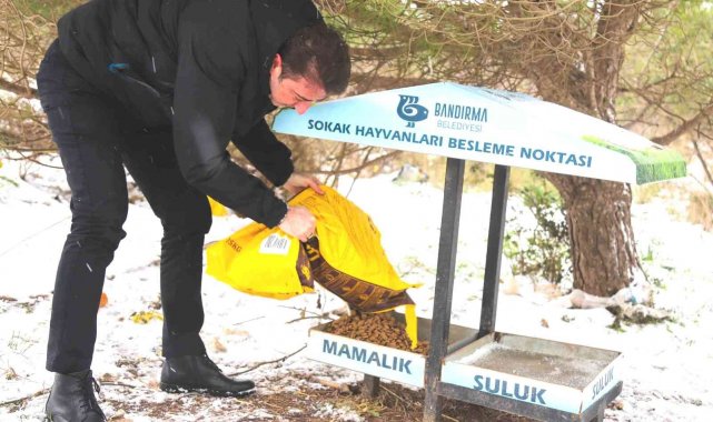 Başkan Tosun'dan can dostlara şefkat eli