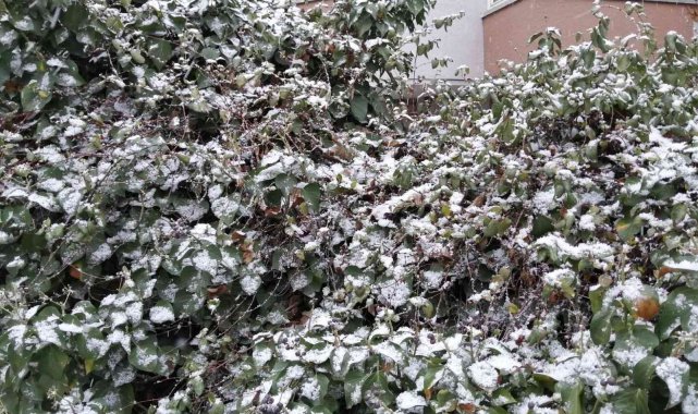 Başkent'te kar ve sis aynı anda bir arada