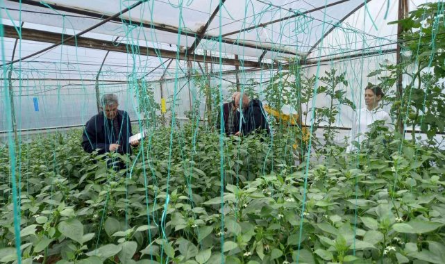 BATEM ve TARSİM ekipleri Antalya&#039;da sel bölgesinde incelemelerde bulundu