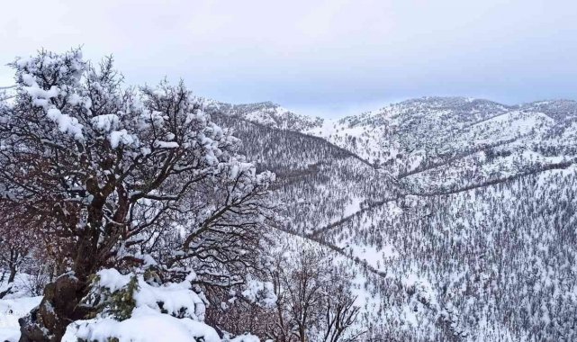Batman'da beklenen kar yağışı etkili oldu