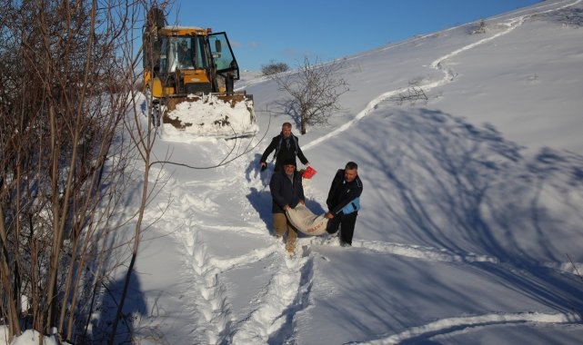 Battalgazi'de 'tavukları' telef olmaktan ekipler kurtardı