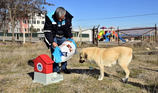 Battalgazi'de can dostlar için 19 yeni besleme noktası