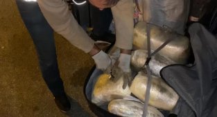 Bavulundan uyuşturucu çıkan kadın tutuklandı