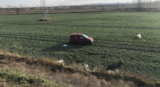 Bayan sürücünün kullandığı otomobil şarampole yuvarlandı