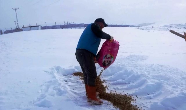 Bayburt&#039;ta yaban hayvanları unutulmadı